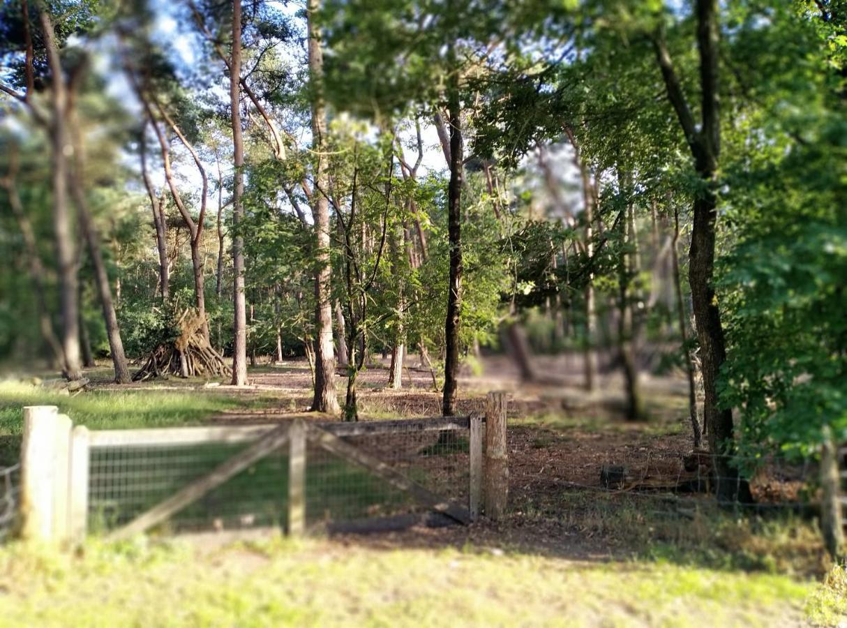 Villa De Stamper - De Wije Werelt Otterlo Esterno foto